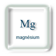 Magnésium et Sport