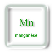 Manganèse et Sport